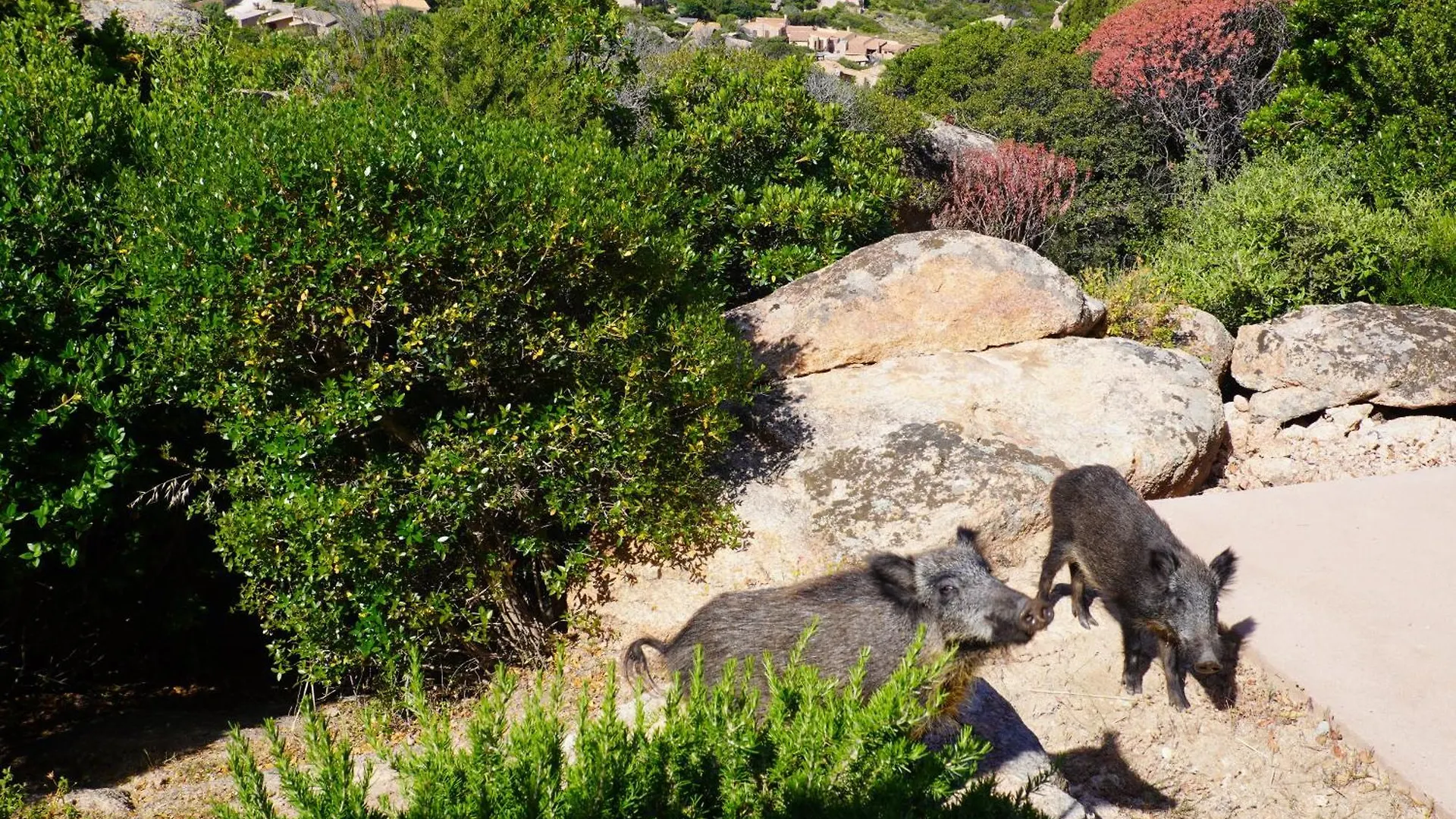 Roccette Ondaturchese, Vista Mare E Jacuzzi Privata コスタ・パラディーゾ 0*,  イタリア